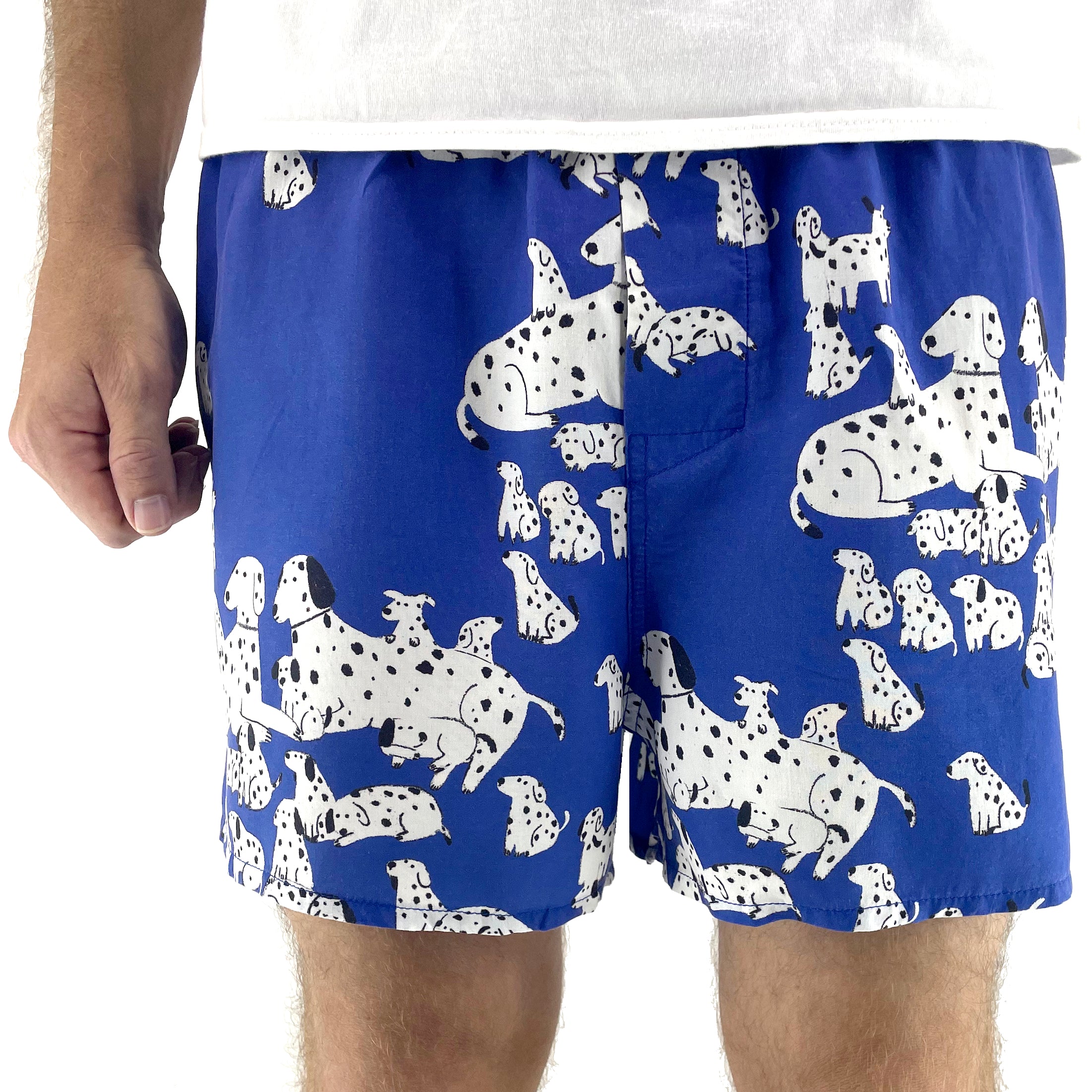 Men's Dalmatian Puppy All Over Print Dog Lover Bright Blue Boxer Shorts