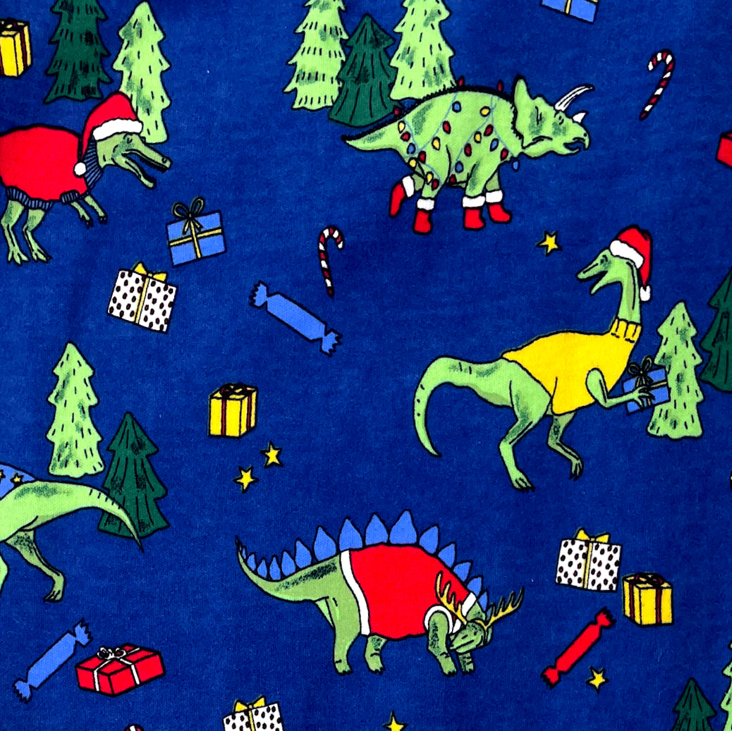 Christmas Themed Dinosaurs in Santa Hats Print Long Christmas PJ Pants