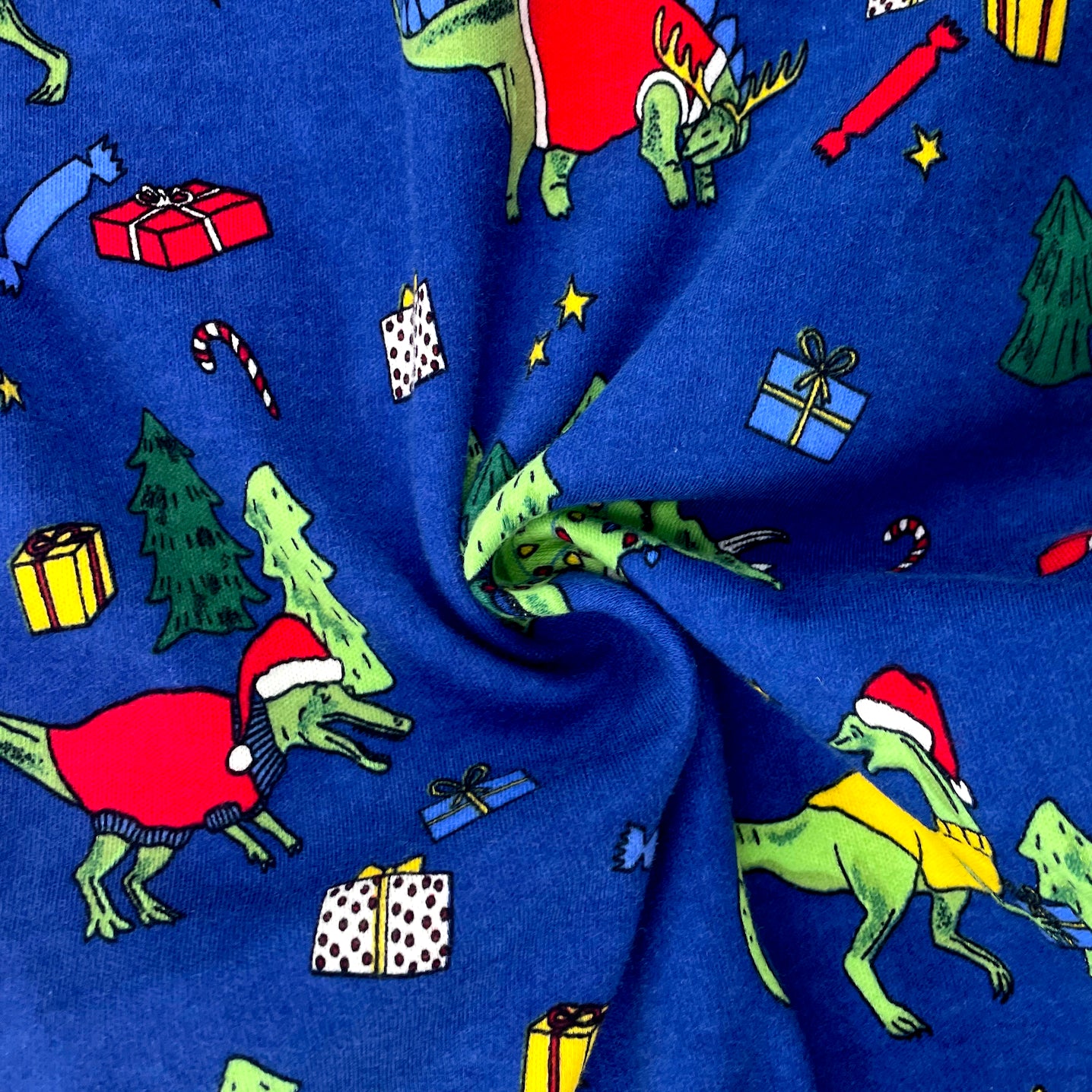 Christmas Themed Dinosaurs in Santa Hats Print Long Christmas PJ Pants