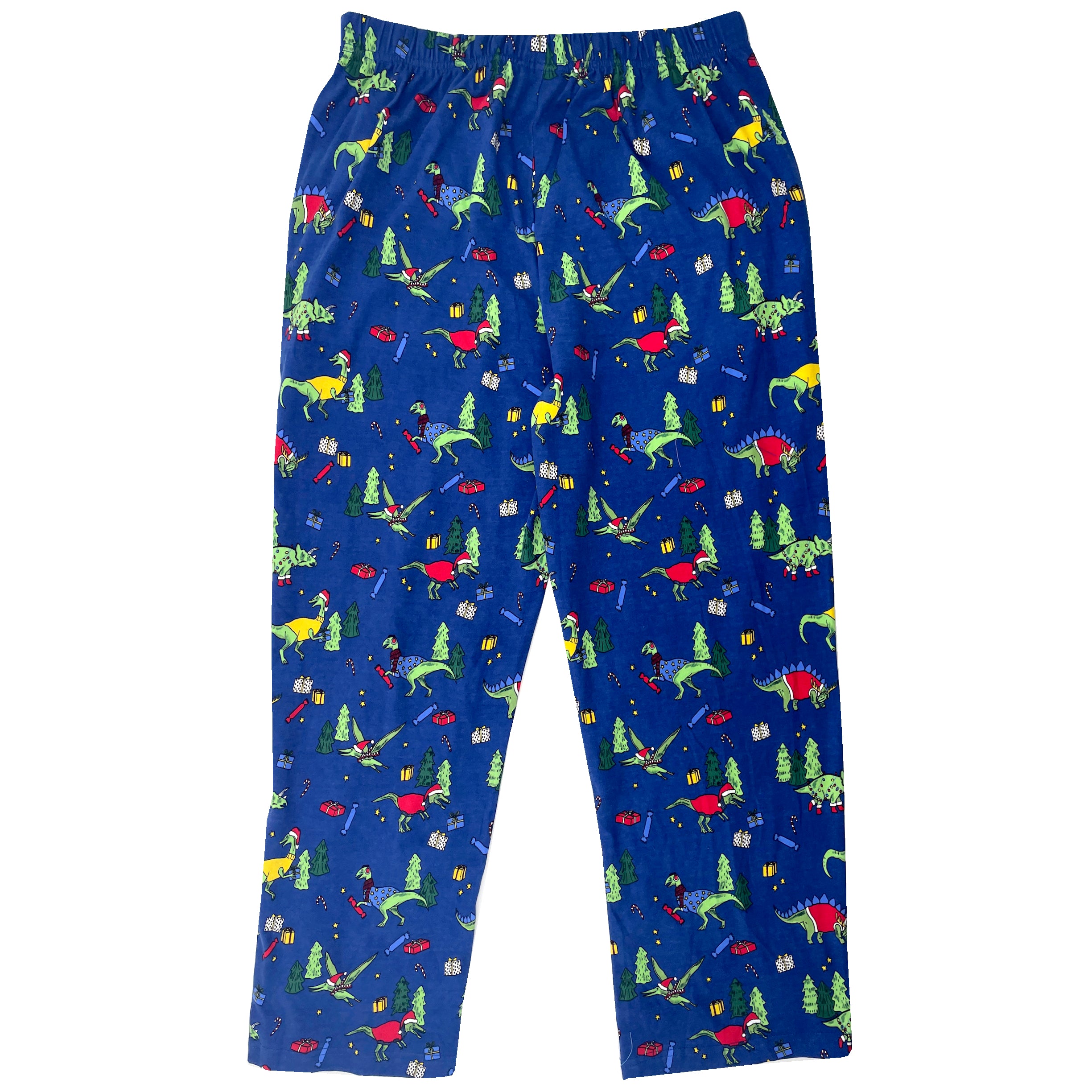 Christmas Themed Dinosaurs in Santa Hats Print Long Christmas PJ Pants