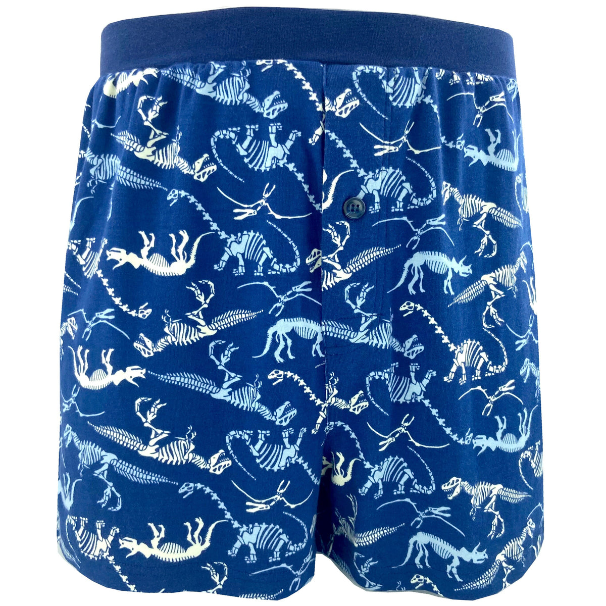 linqin Dinosaurs Surfboard Palms Breathable Boxer Brief Stretch