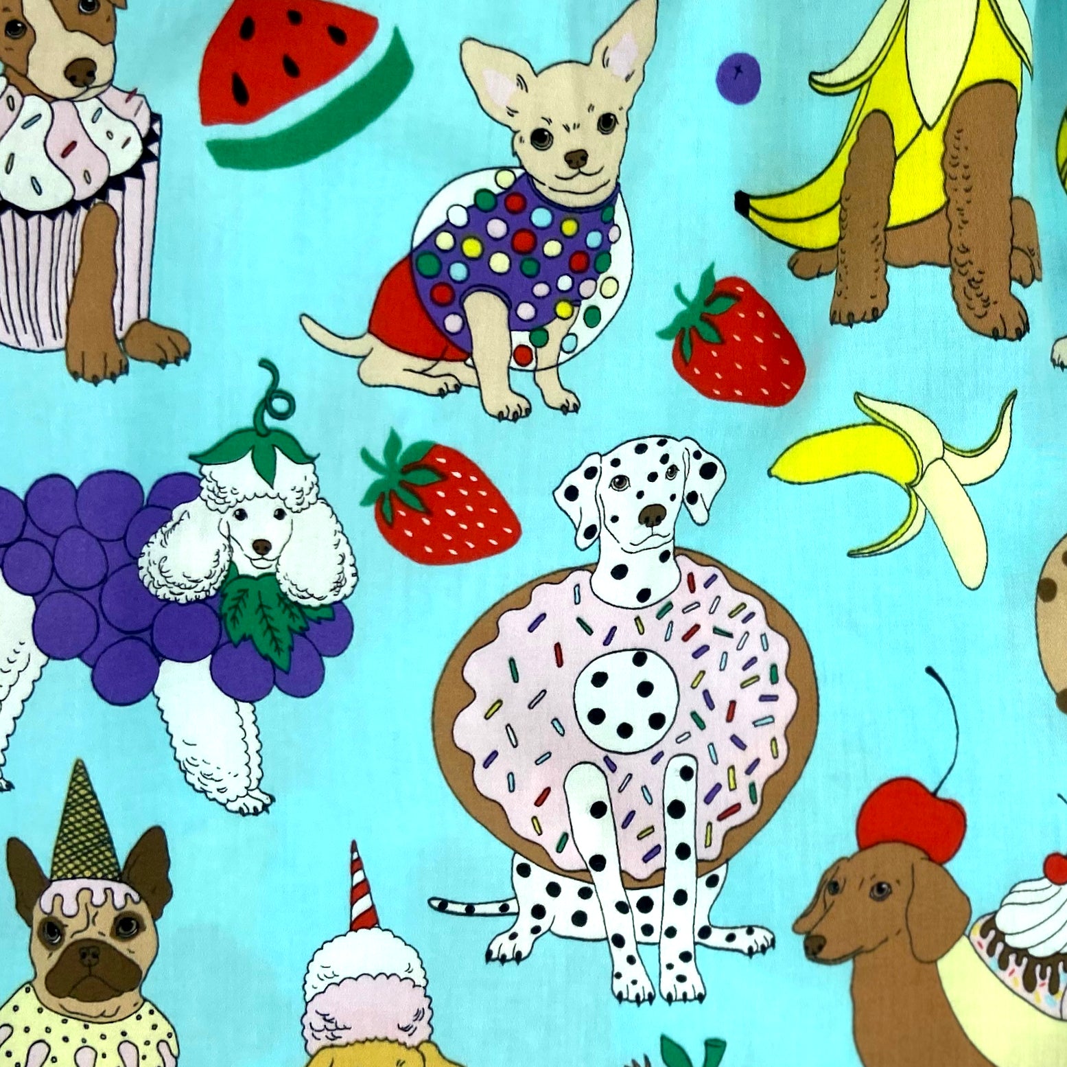 Fun & Unusual Dogs Dressed Up as Fruit Print Boxer Shorts Underwear