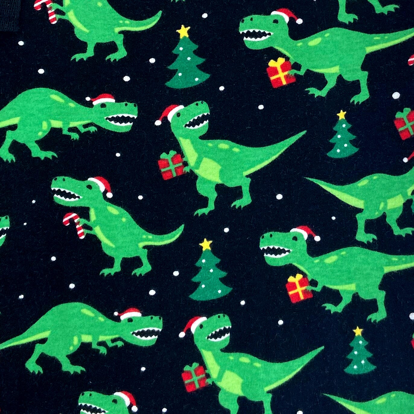 Festive T Rex Dinosaurs in Santa Hats Print Long Christmas PJ Pants