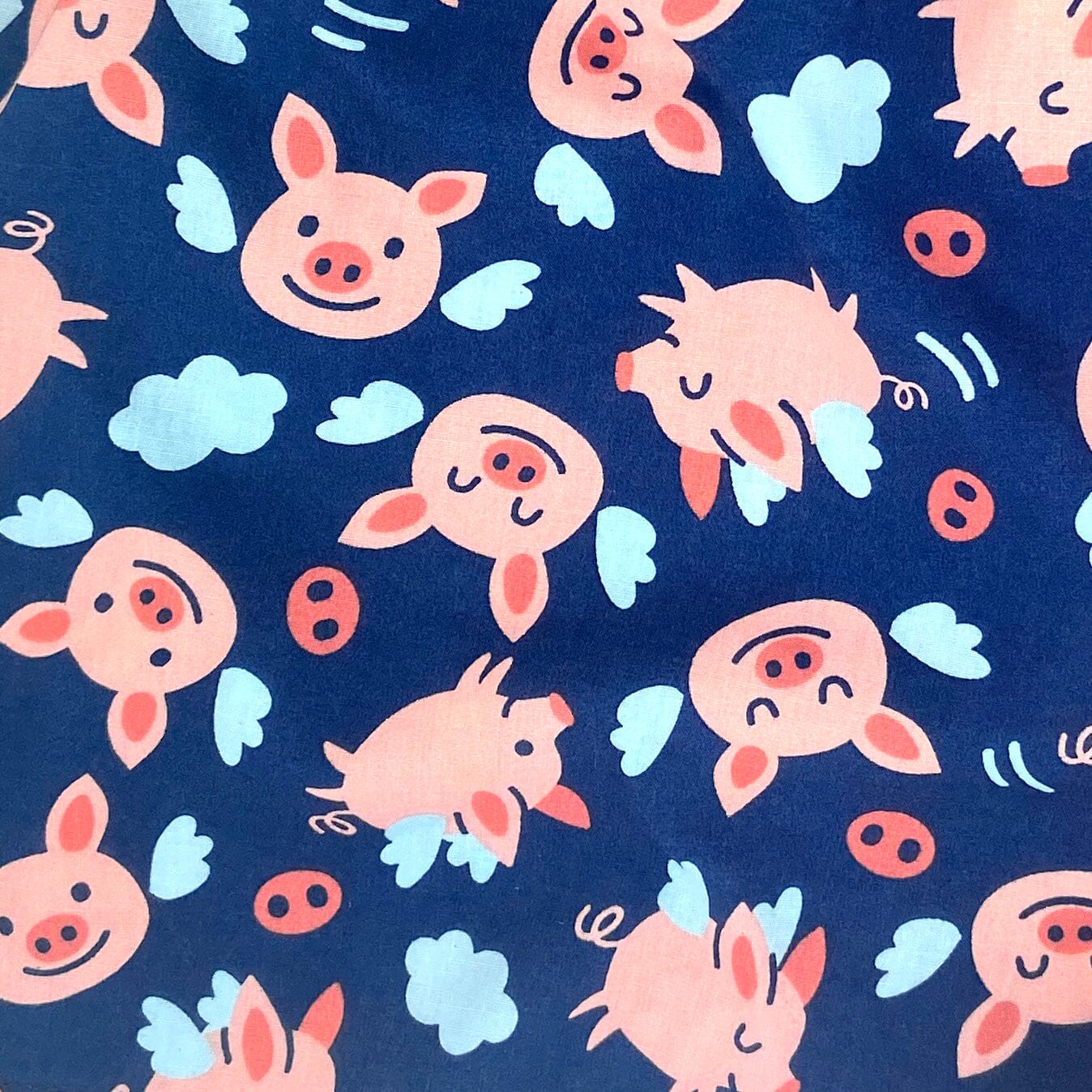 Flying discount pig pajamas