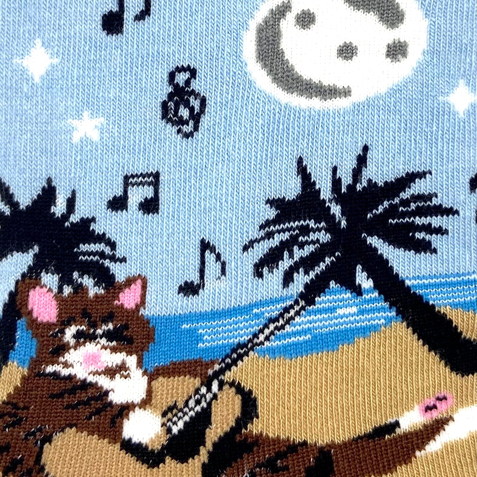Kitty Cat Playing The Guitar On the Beach All Over Print Novelty Socks