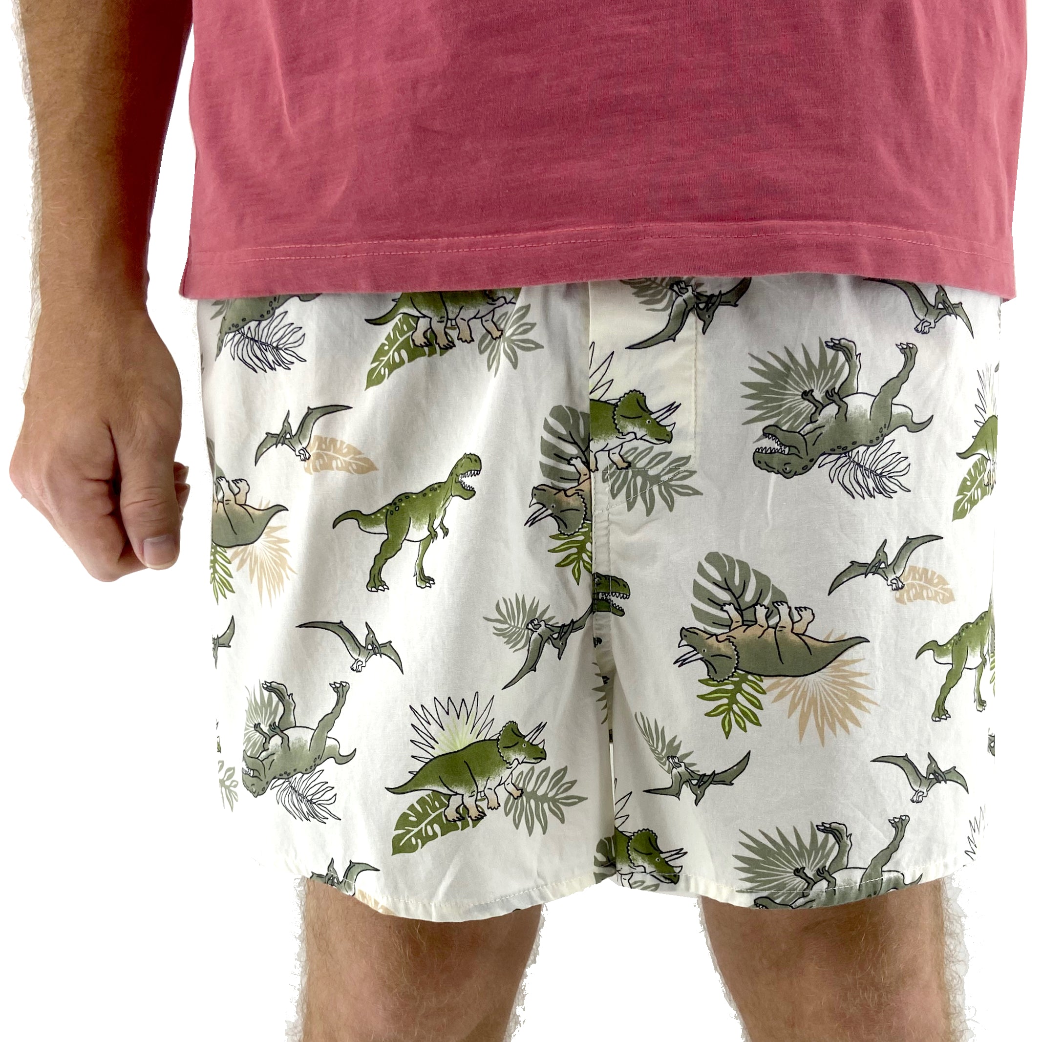 Men's Triceratops Dinosaurs All Over Print Boxer Shorts Underwear