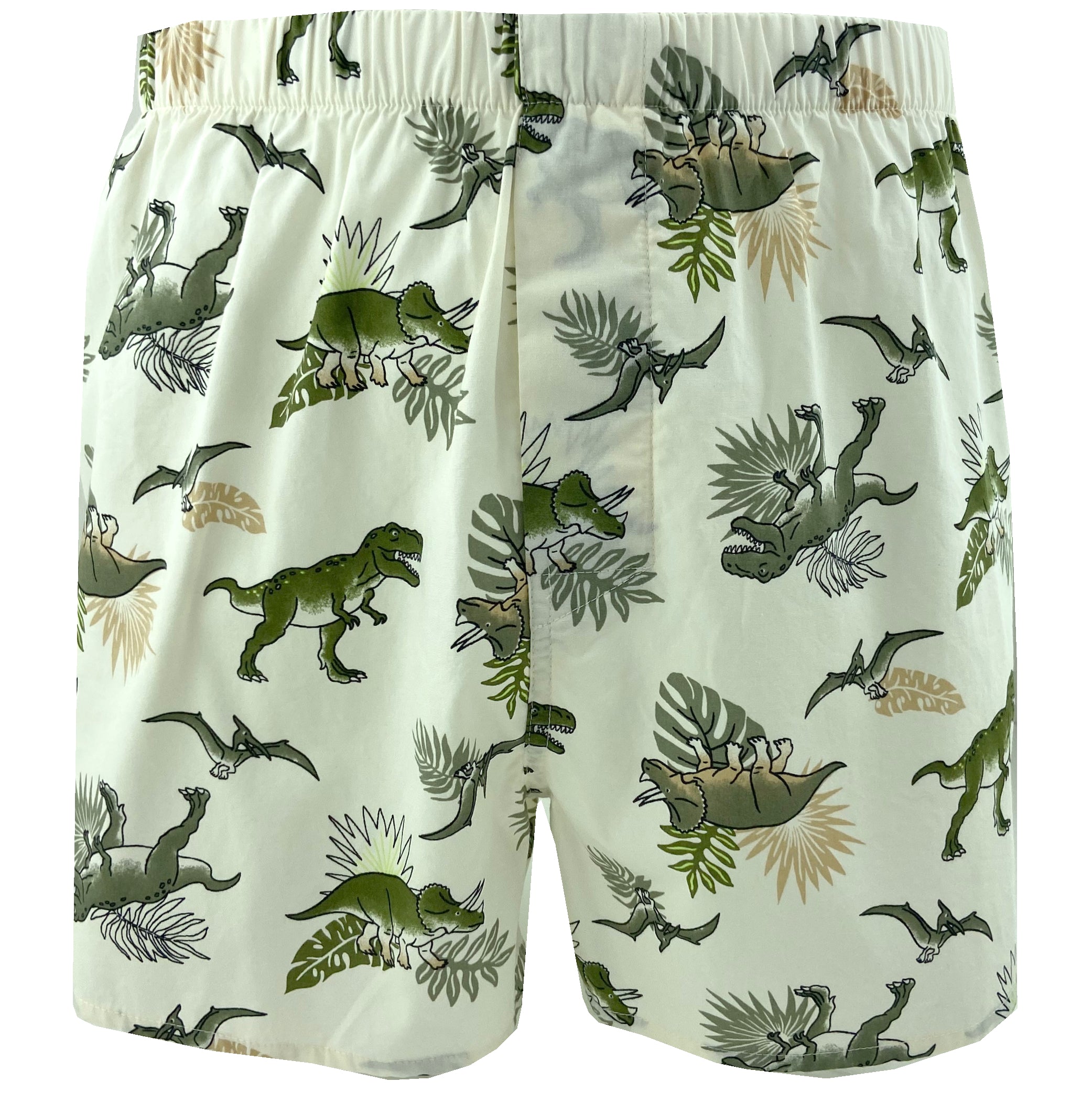 Men's Triceratops Dinosaurs All Over Print Boxer Shorts Underwear