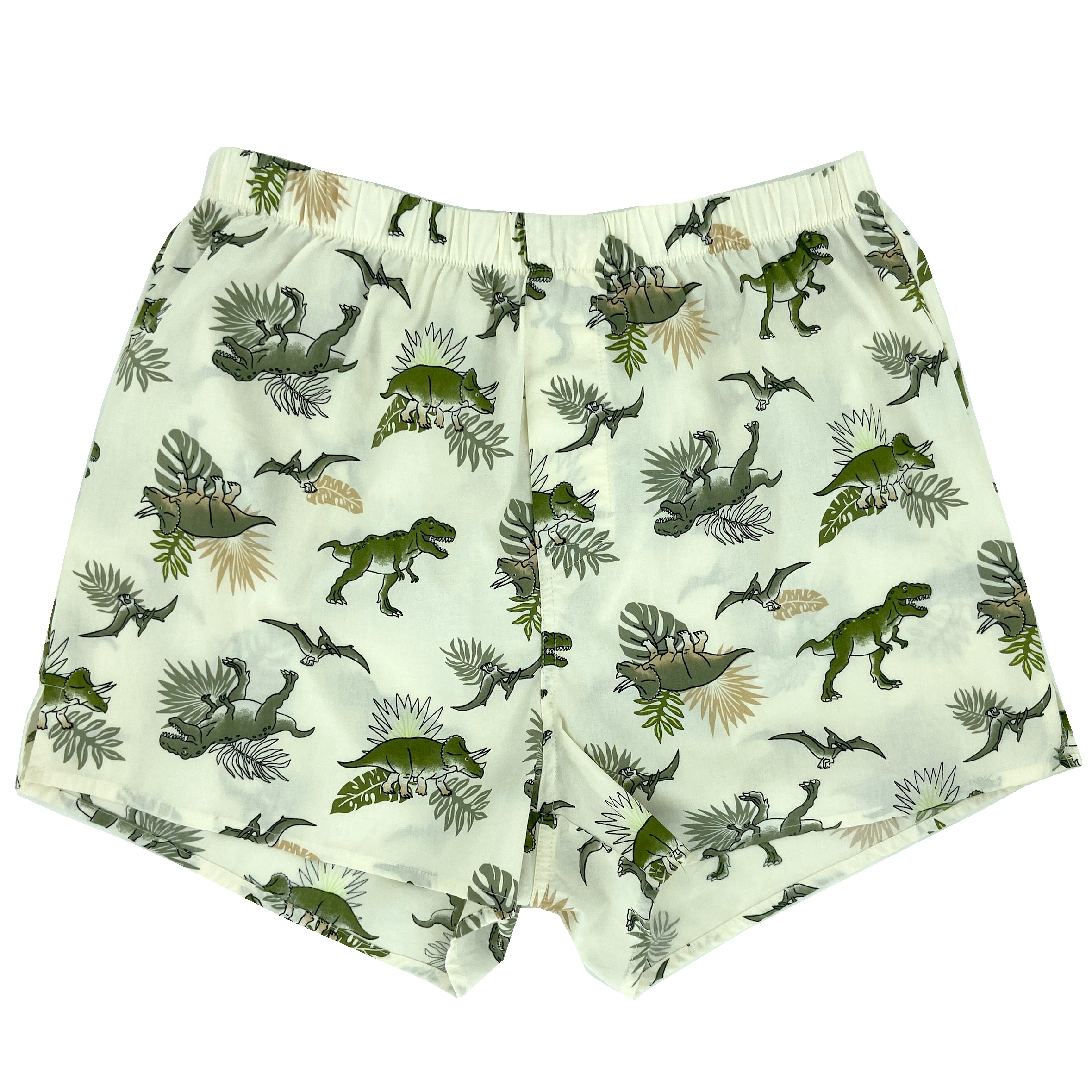 Men's Triceratops Dinosaurs All Over Print Boxer Shorts Underwear