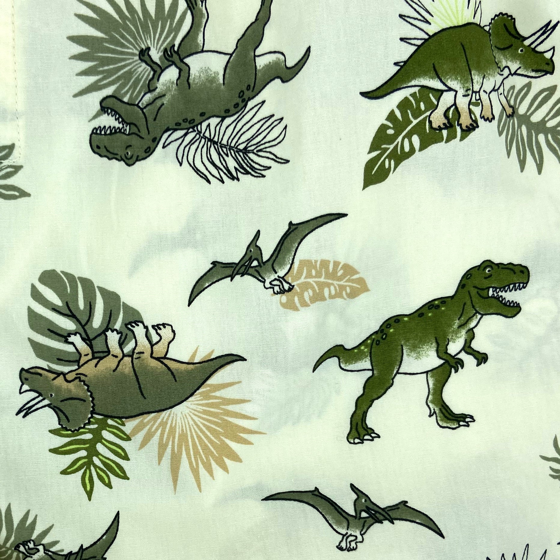 Men's Triceratops Dinosaurs All Over Print Boxer Shorts Underwear