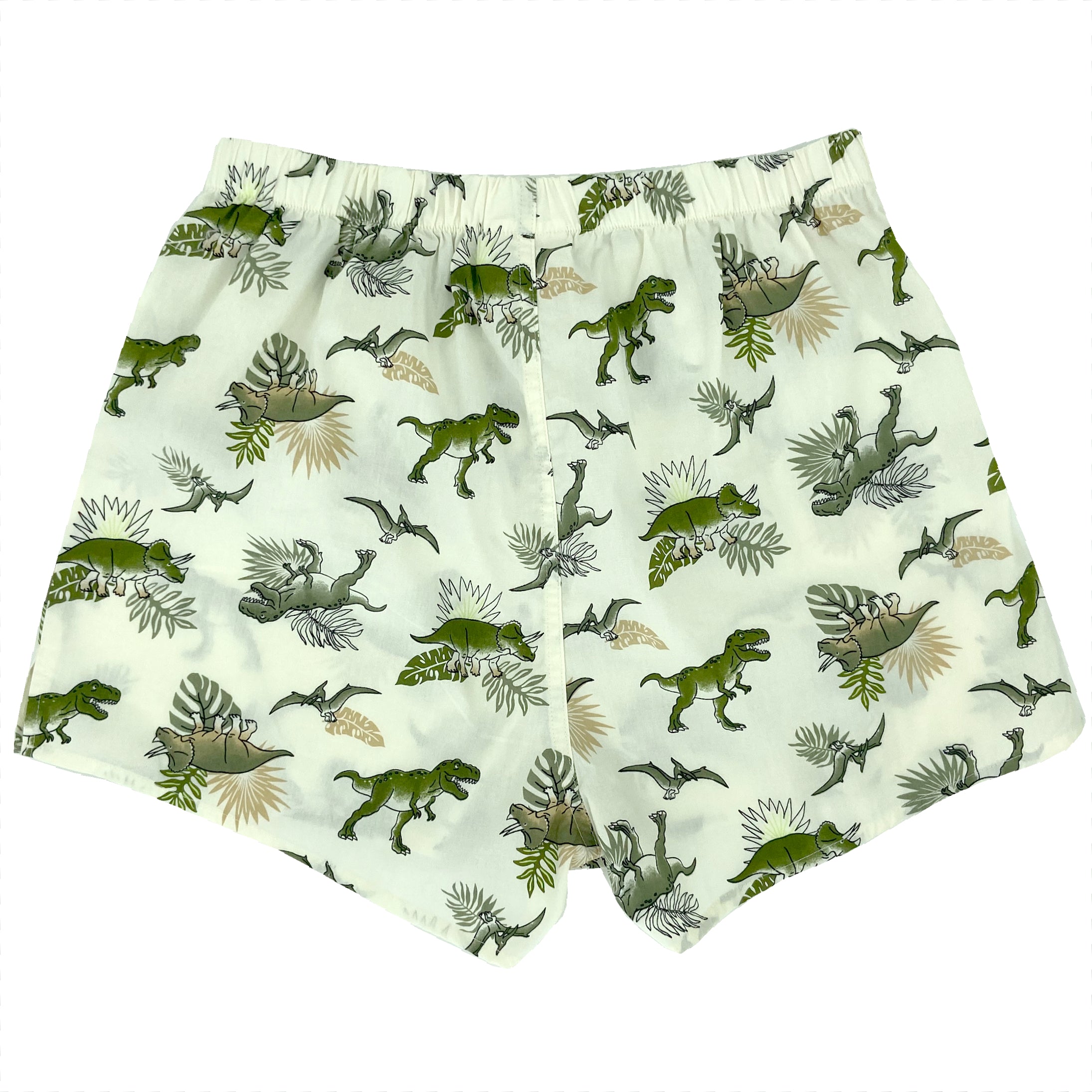 Men's Triceratops Dinosaurs All Over Print Boxer Shorts Underwear