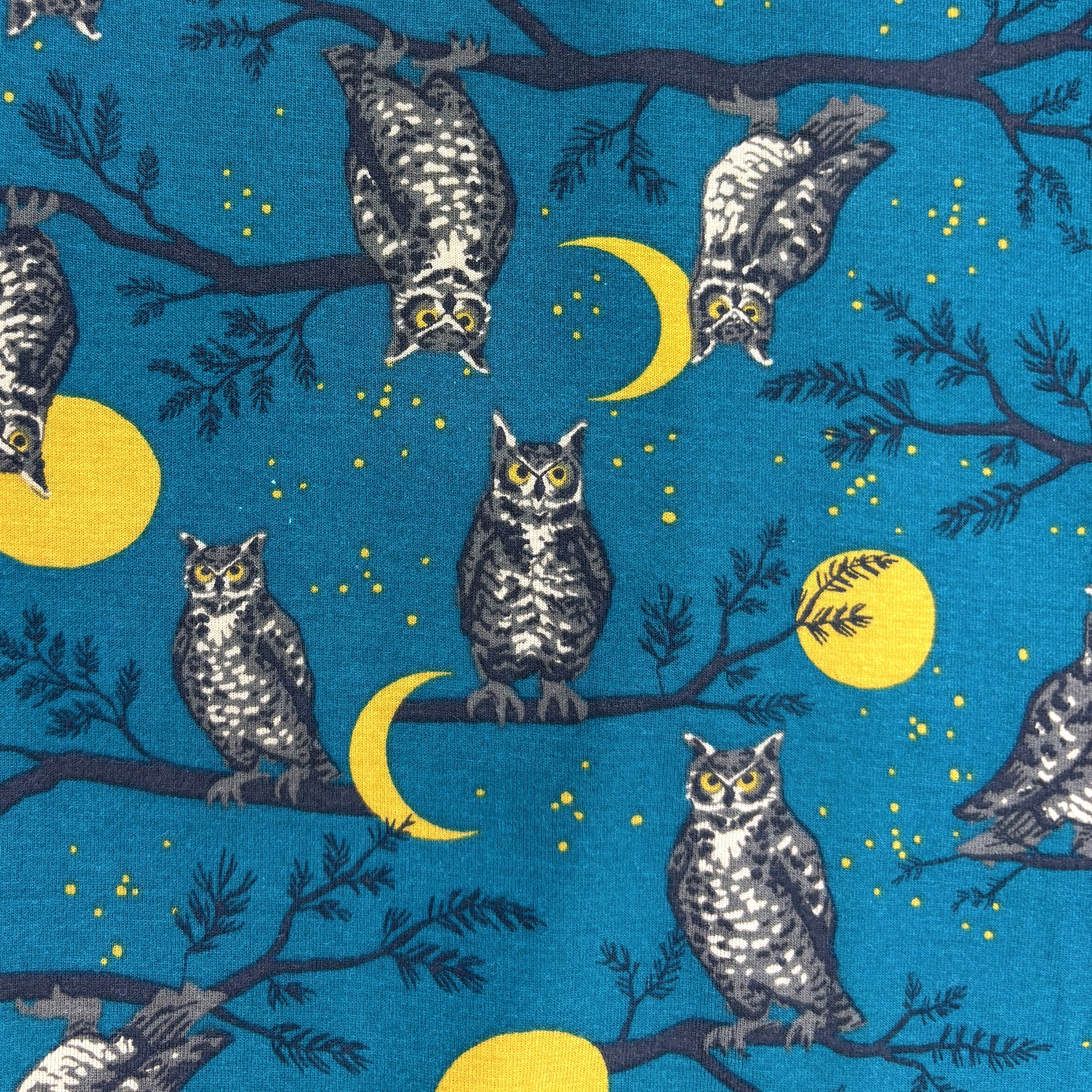 Men's Owl Bird Against a Moon Lit Night Sky Print Cotton Pajama Pants