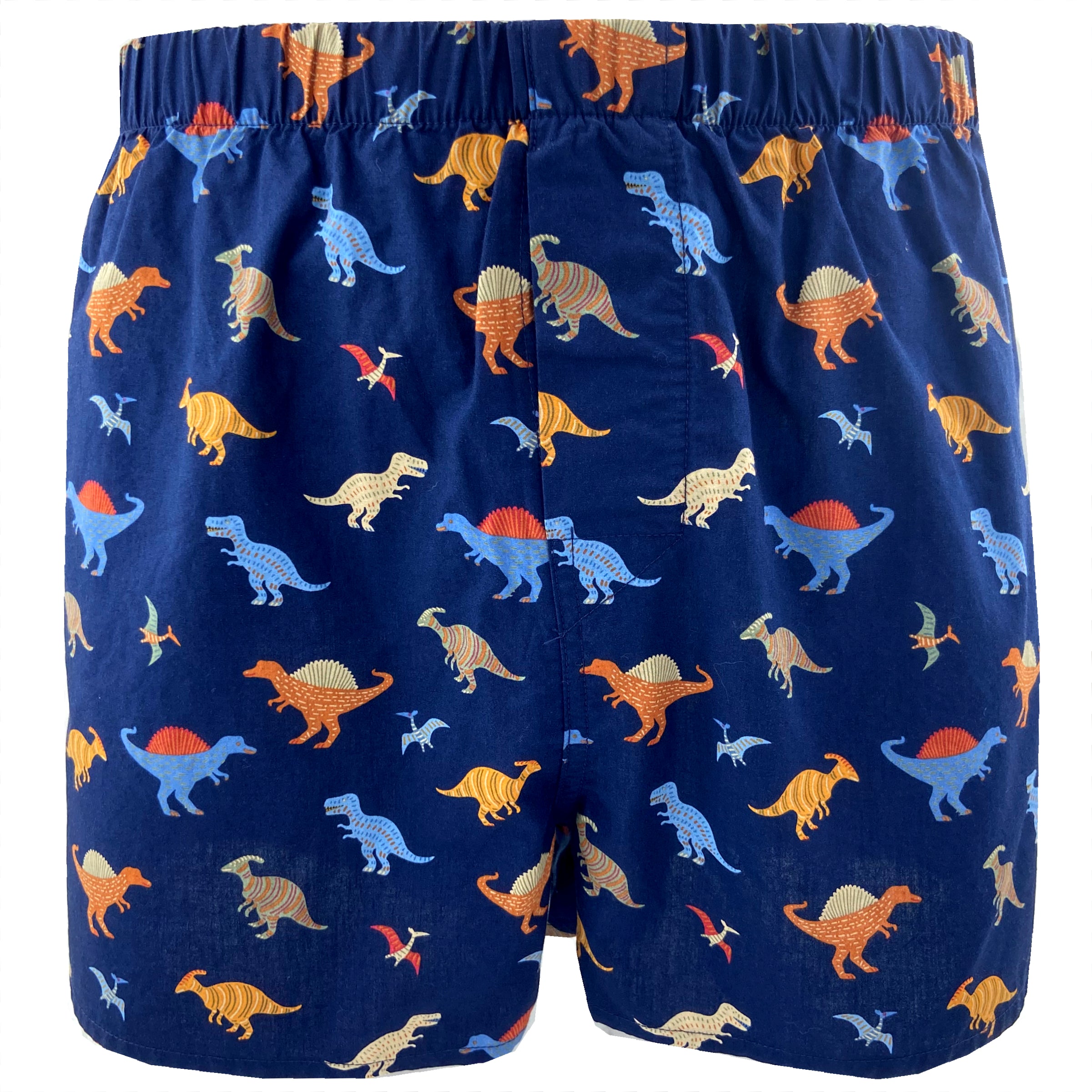 Men's Classic Dinosaur All Over Print Jurassic Boxer Shorts for Adults