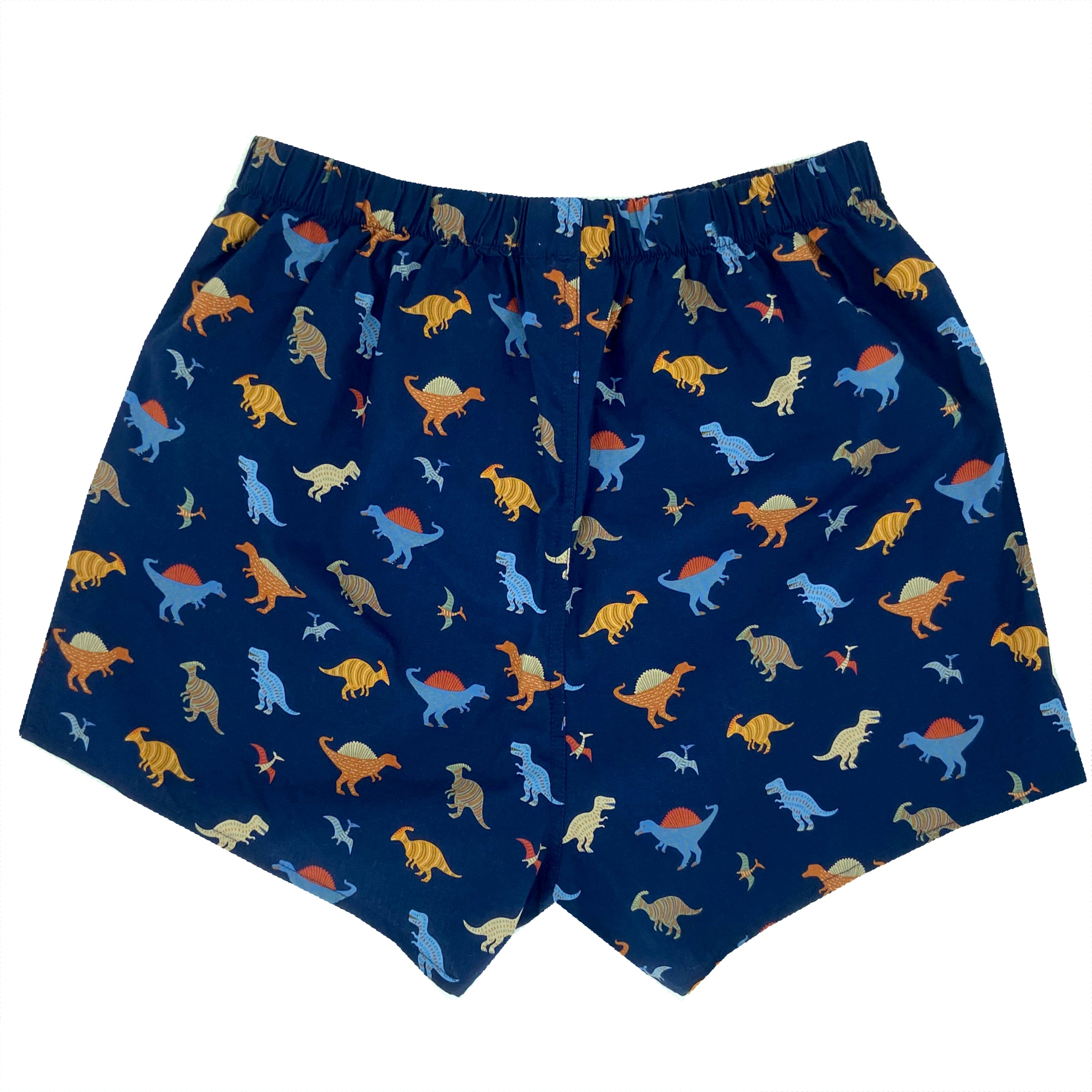 Men's Classic Dinosaur All Over Print Jurassic Boxer Shorts for Adults