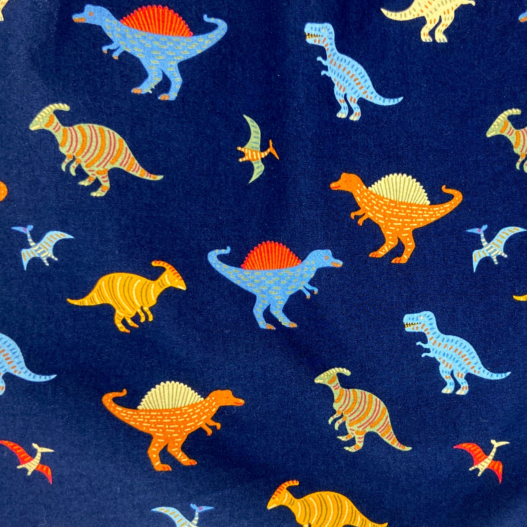 Men's Classic Dinosaur All Over Print Jurassic Boxer Shorts for Adults