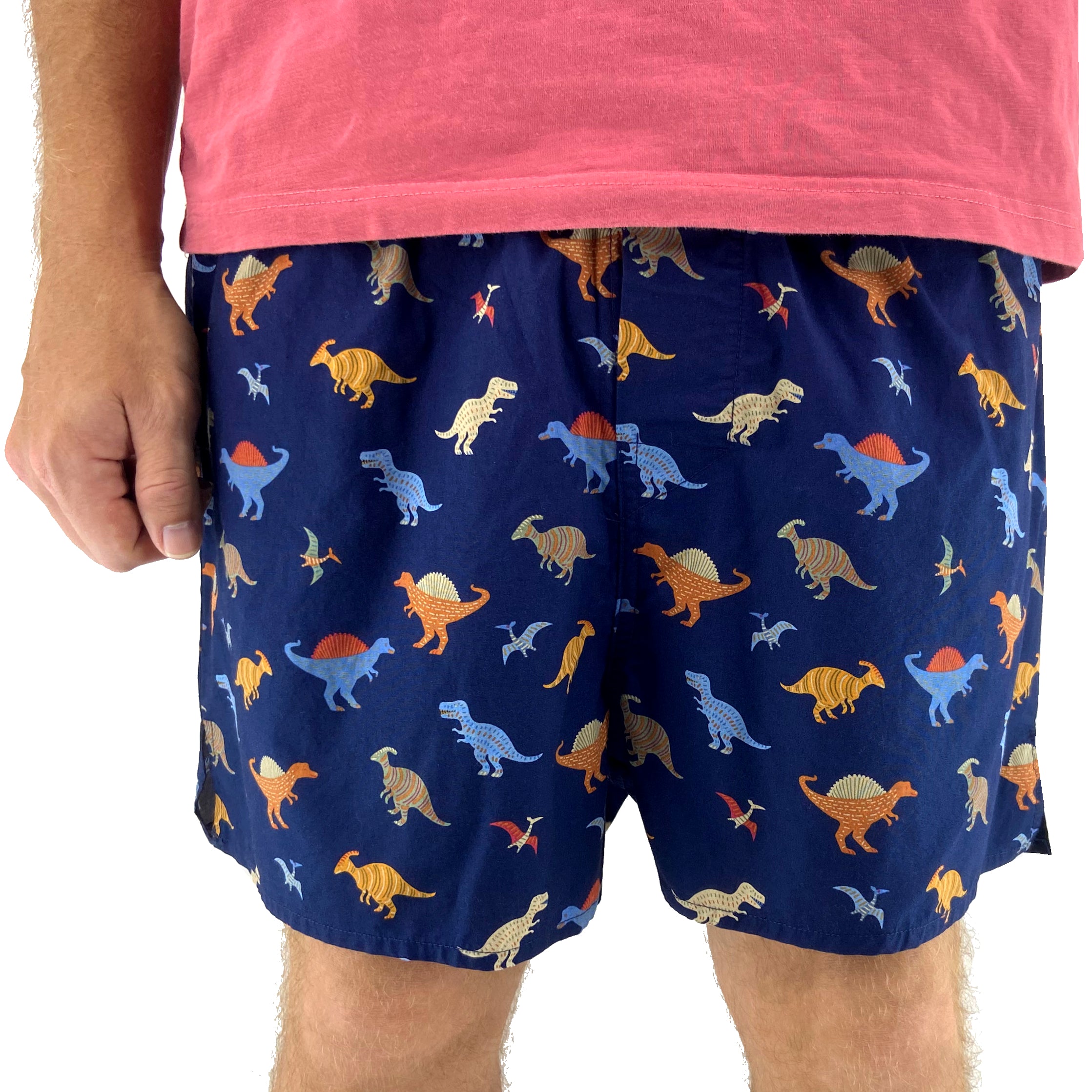 Men's Classic Dinosaur All Over Print Jurassic Boxer Shorts for Adults