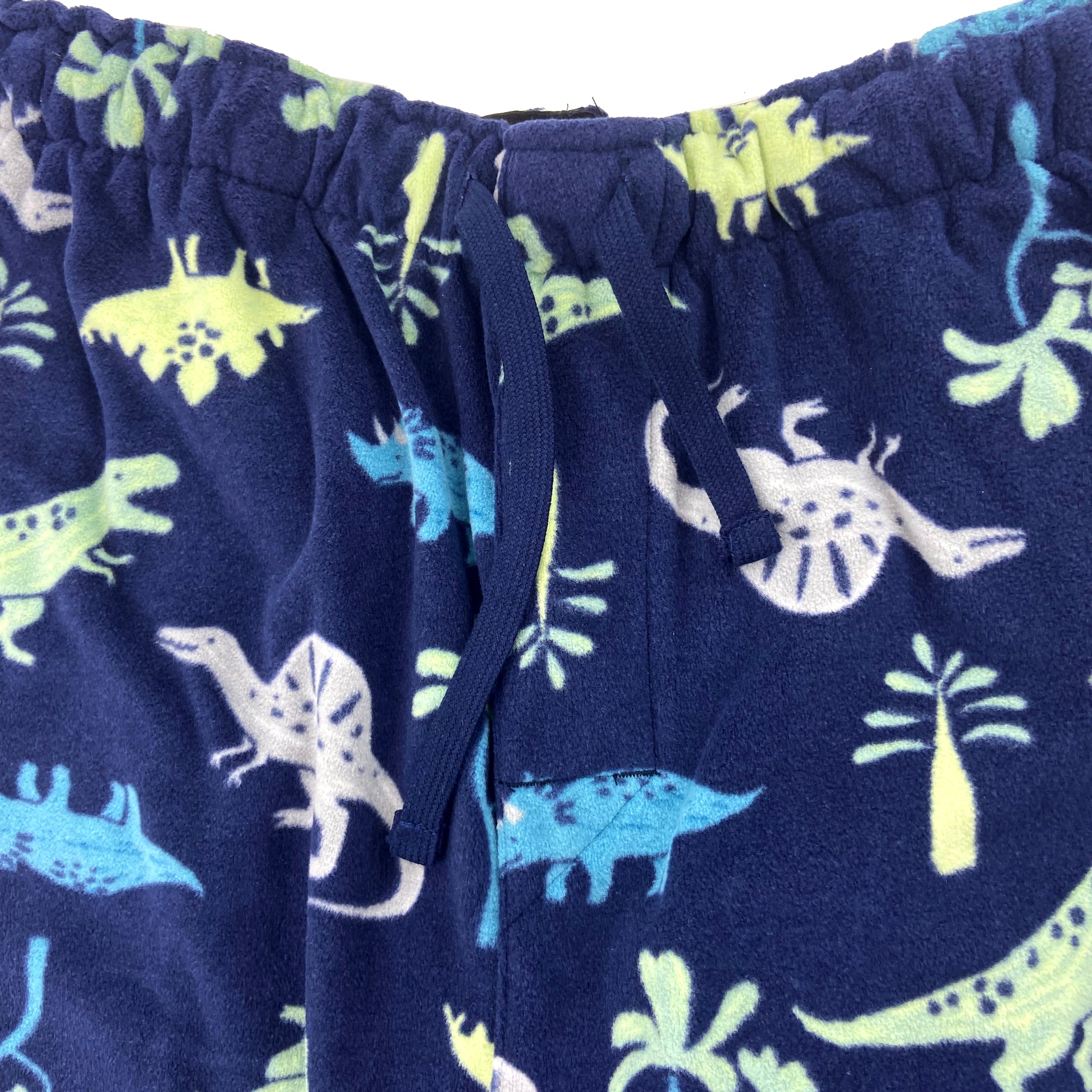 Cartoon Dinosaur T-Rex Triceratops Novelty Print Fleece Pants for Adults