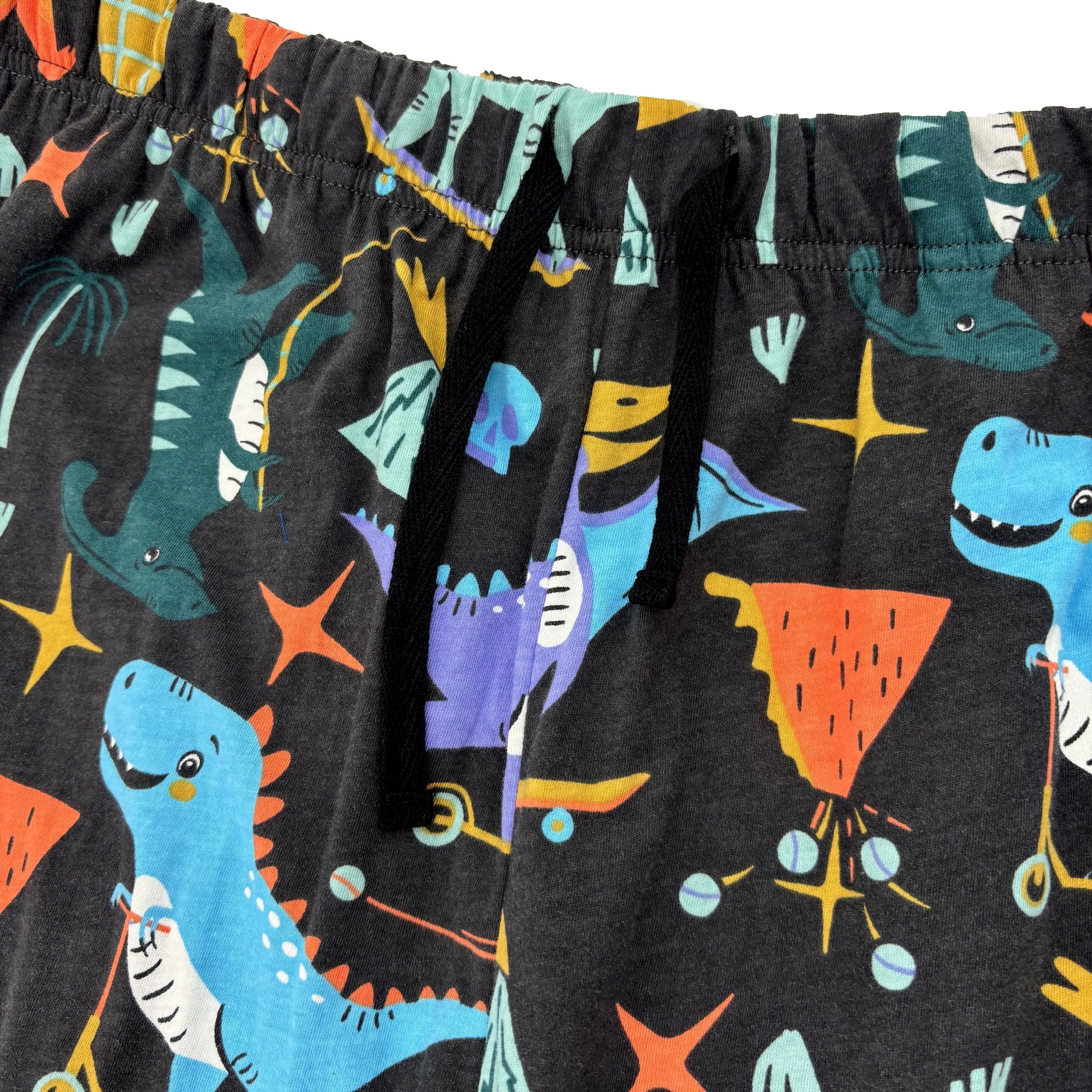 Men's Skateboarding Stegosaurus Cartoon Dinosaur Print Pajama Pants