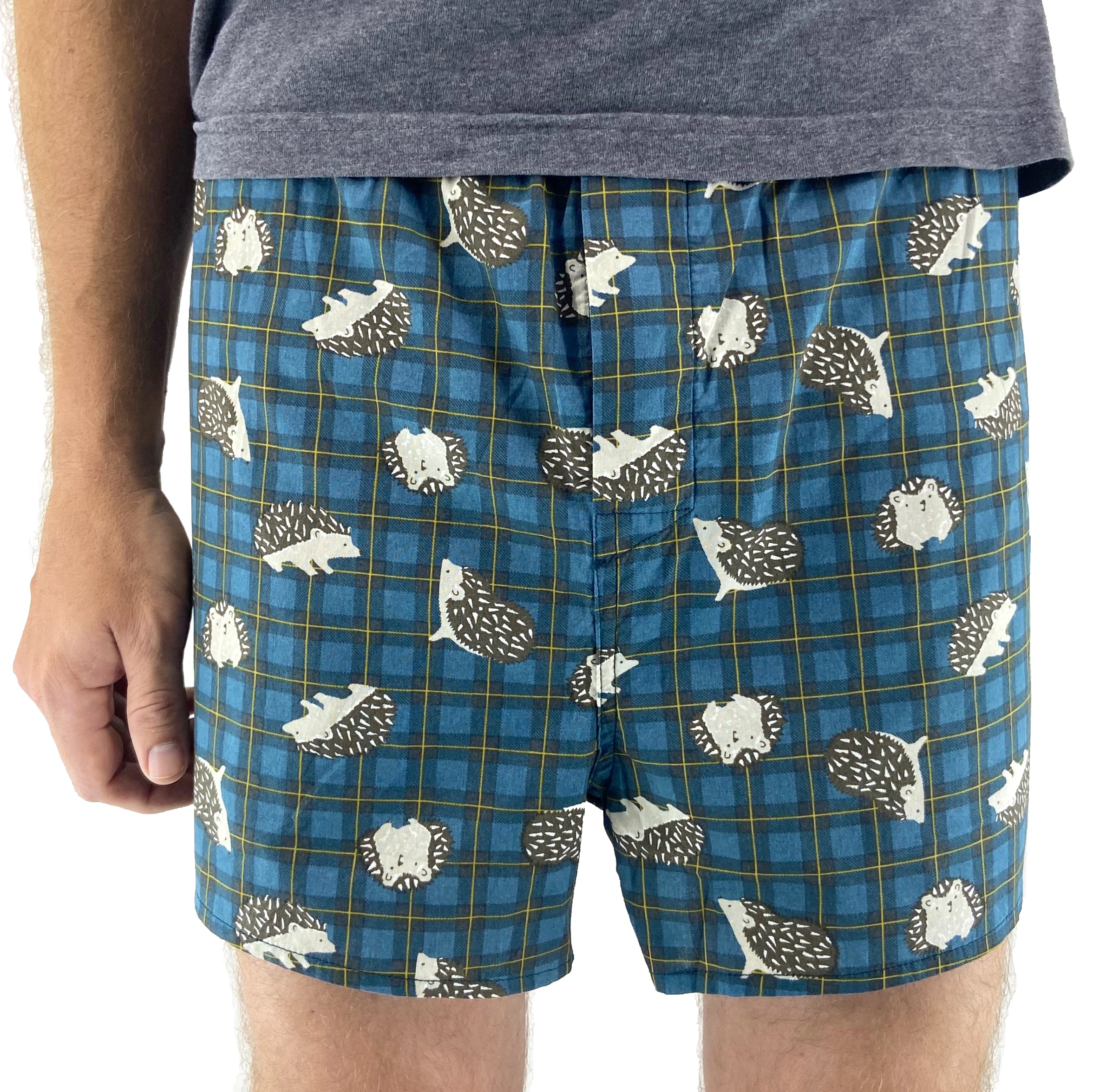 Cute Hedgehog All Over Print Boxers For Men in Classic Plaid Pattern