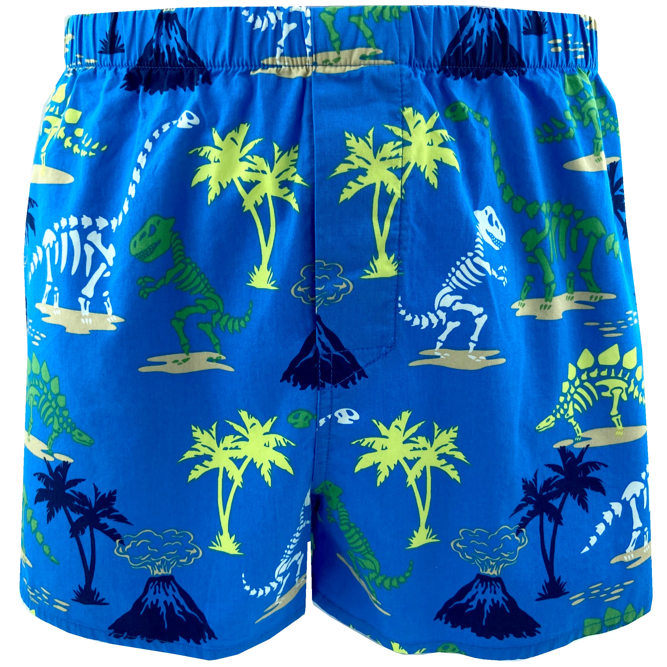 Colorful Men's Blue Dinosaur Fossil Patterned Lightweight Boxer Shorts