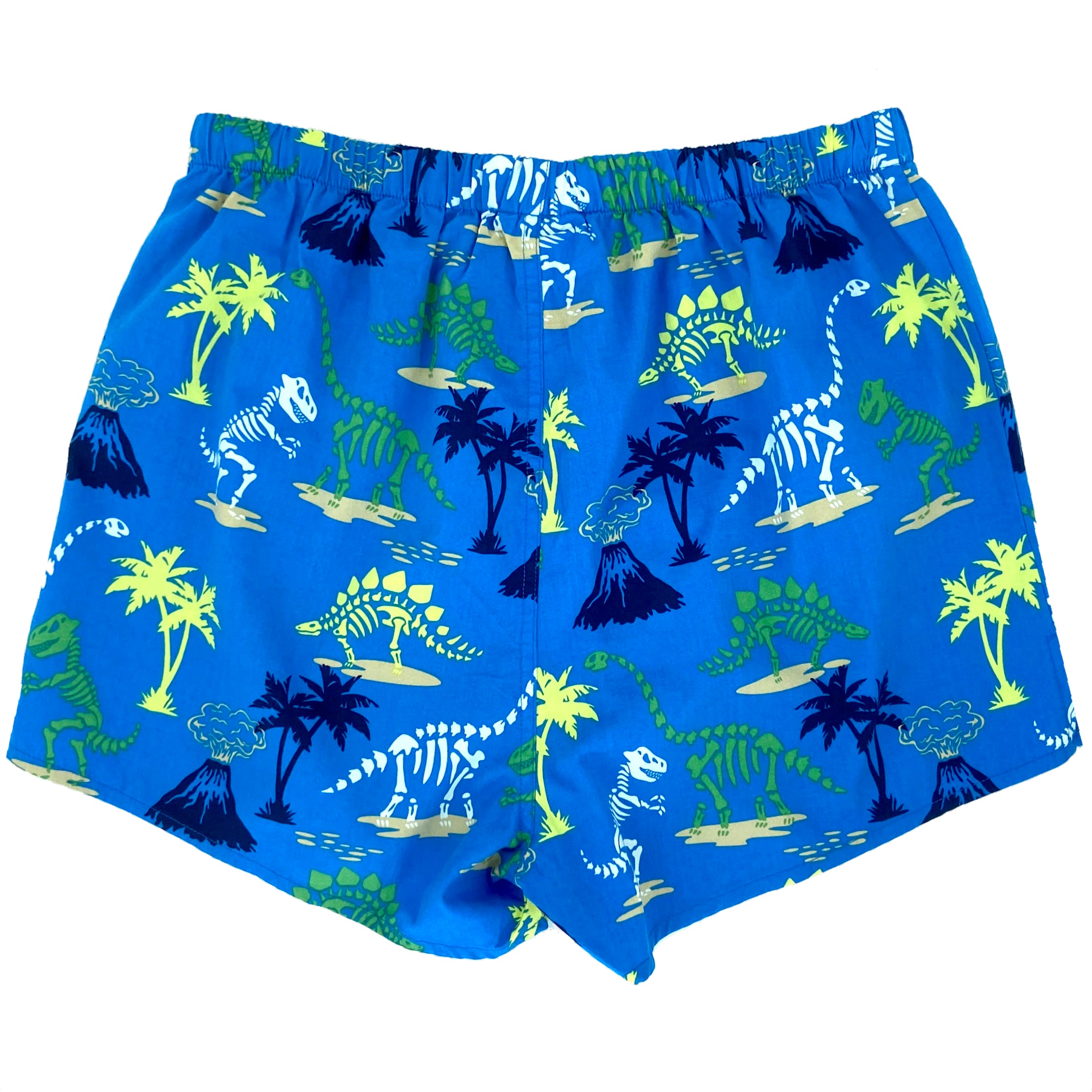 Colorful Men's Blue Dinosaur Fossil Patterned Lightweight Boxer Shorts