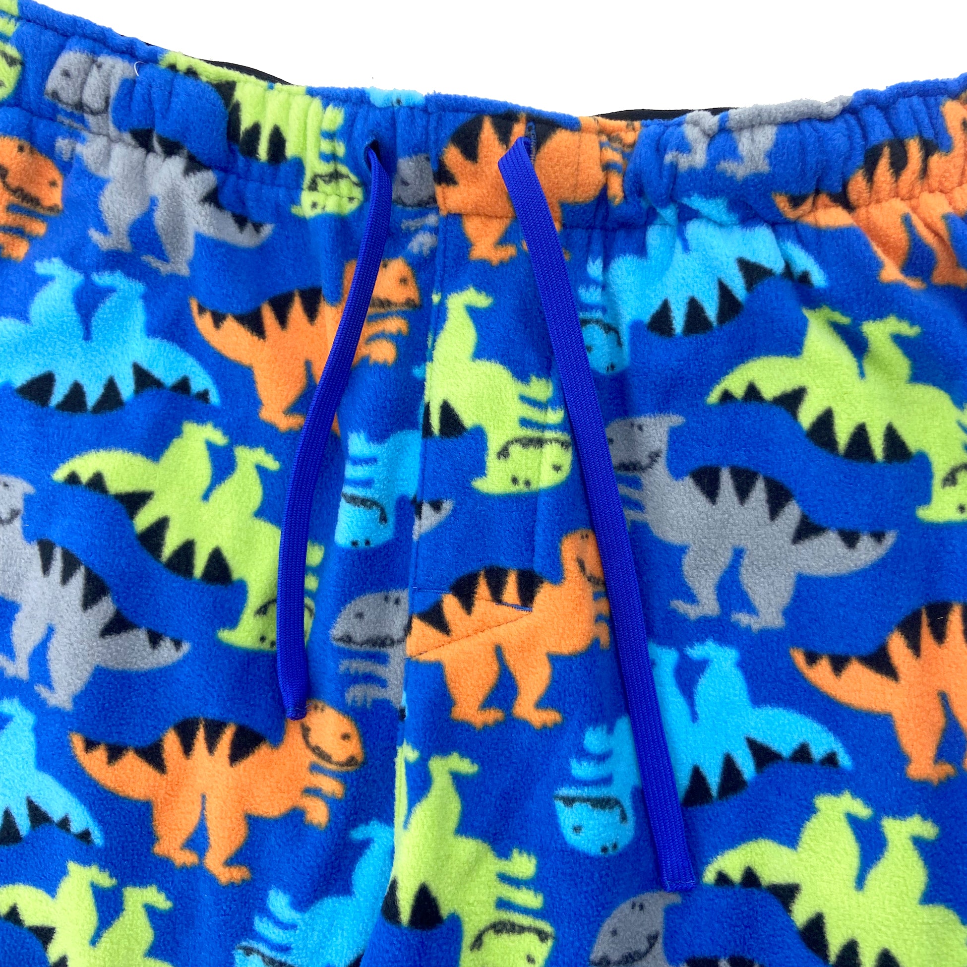 Men's Fun Colorful Velociraptor Dinosaur Patterned Fleece Pajama Pants