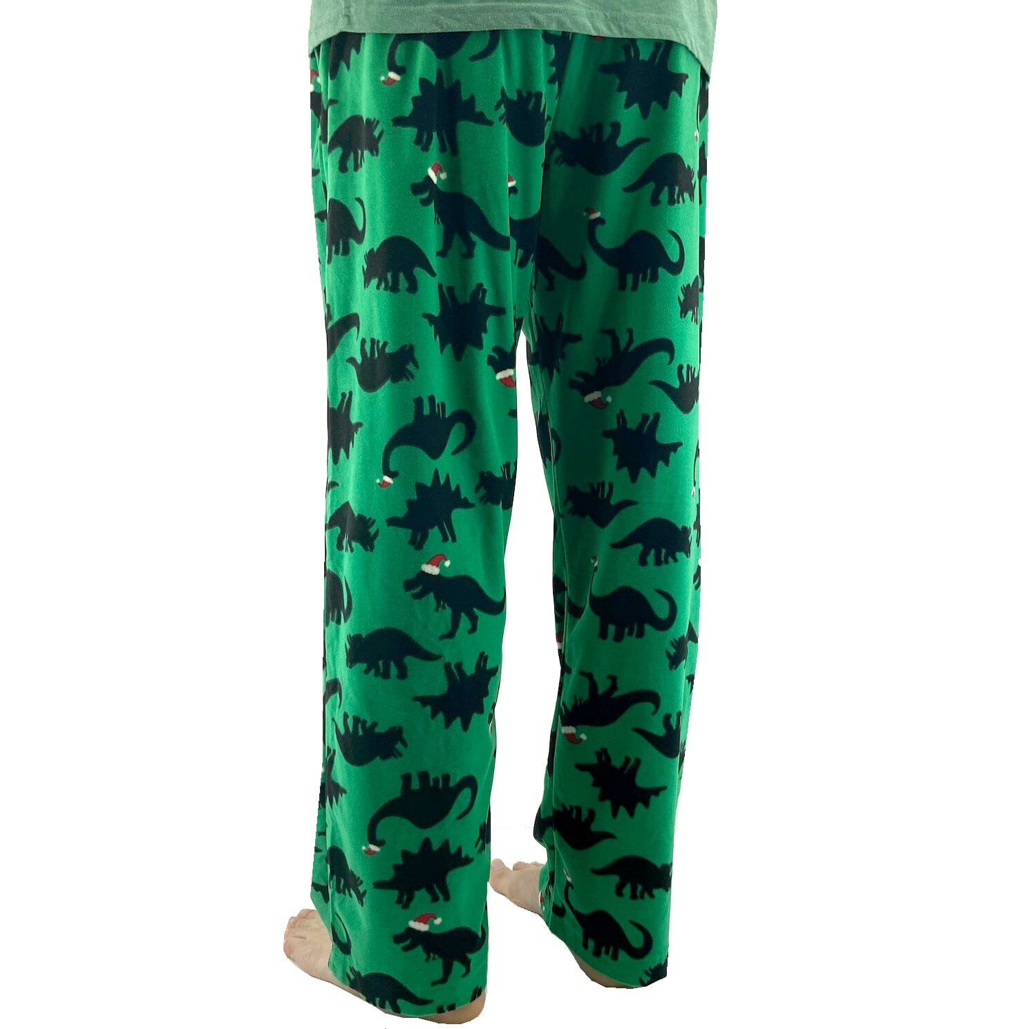 Dinosaur best sale pajama pants