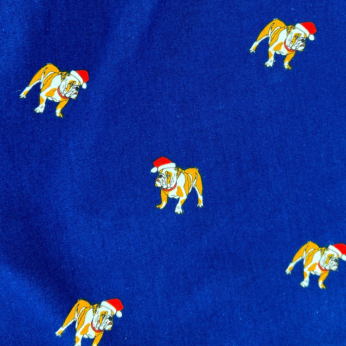 Bulldog on sale boxer shorts