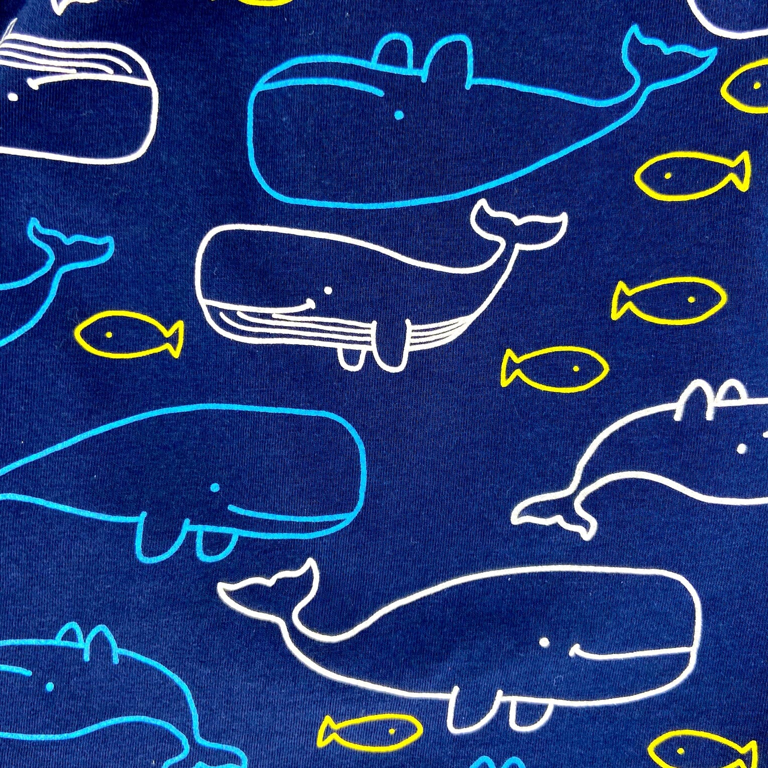 Whale hot sale jersey fabric